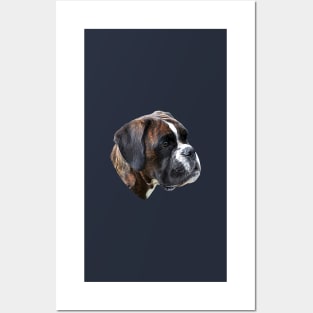 Boxer A Beautiful Brindle Boxer Head Posters and Art